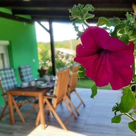 Caglin Ruralna Kuca Za Odmor Viktorija 빌라 외부 사진