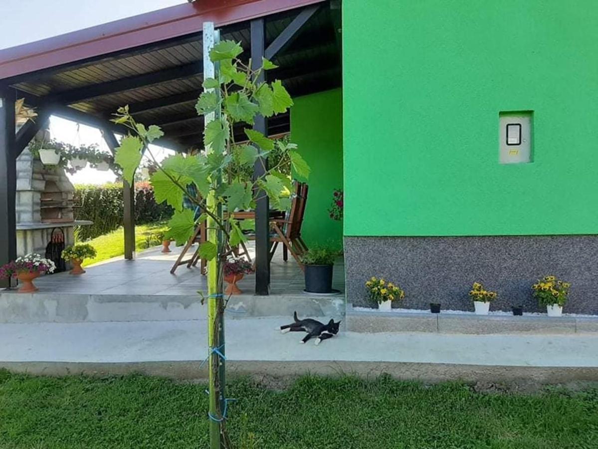 Caglin Ruralna Kuca Za Odmor Viktorija 빌라 외부 사진