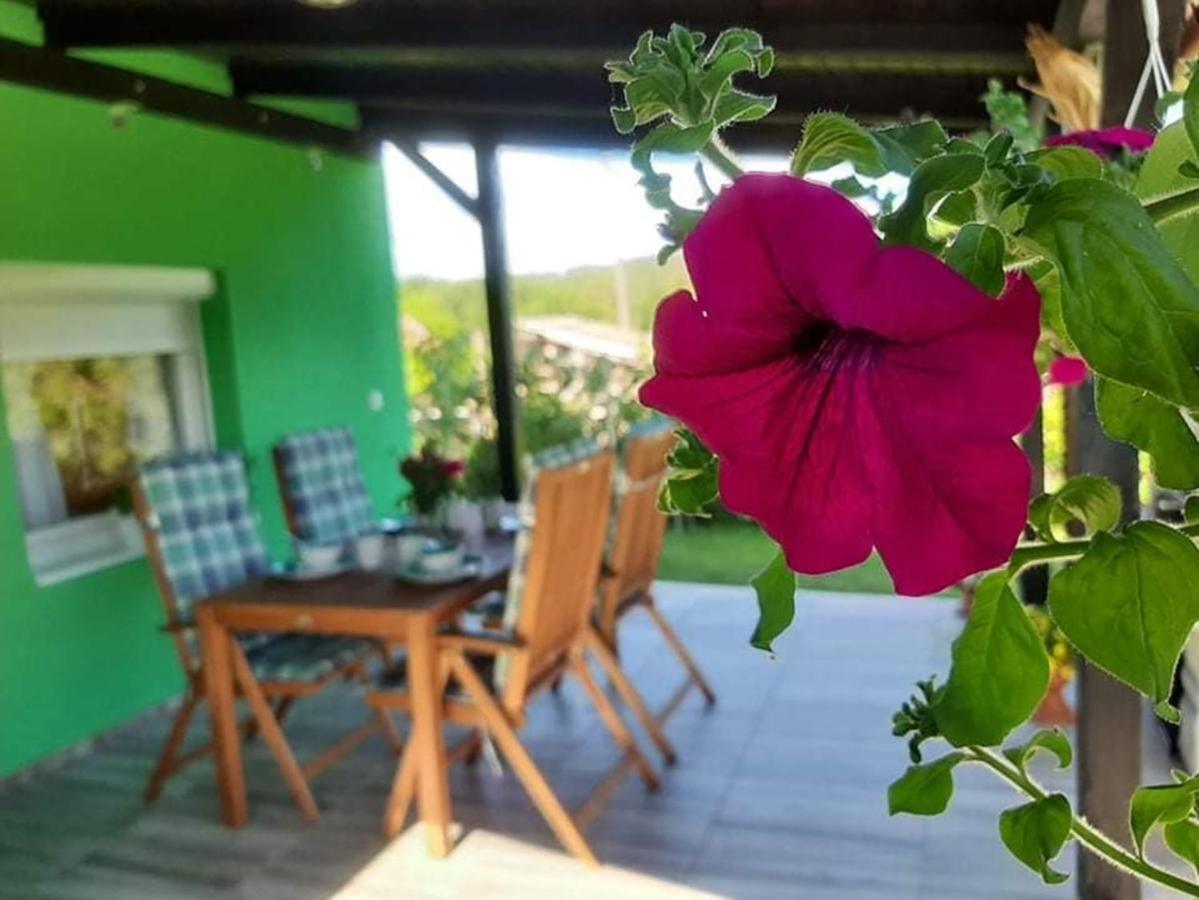 Caglin Ruralna Kuca Za Odmor Viktorija 빌라 외부 사진