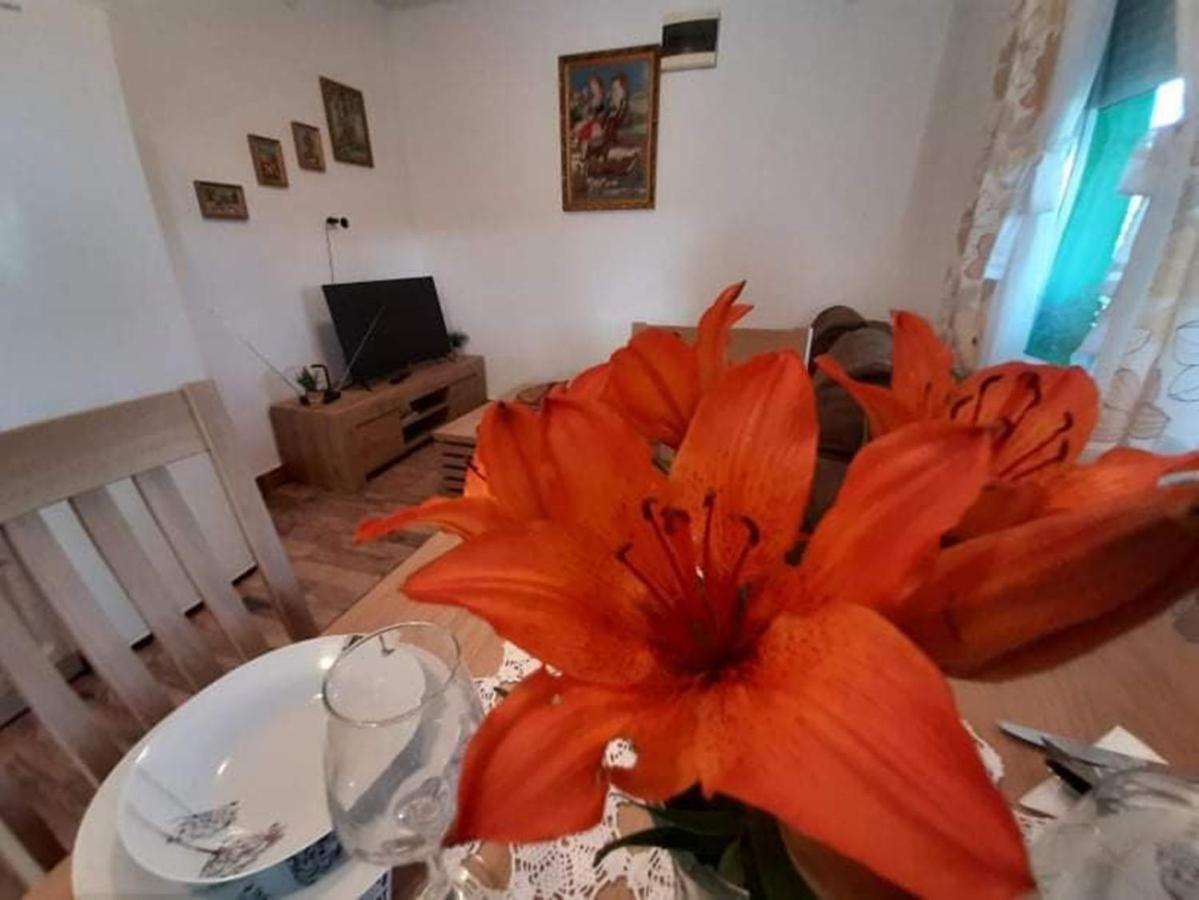Caglin Ruralna Kuca Za Odmor Viktorija 빌라 외부 사진